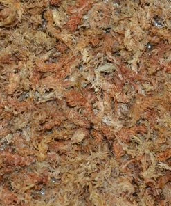 Thing Soil & Soil Amendments Sphagnum Peat Moss Organic Peat Moss Moisture Control 5 Thing Soil & Soil Amendments Sphagnum Peat Moss Organic Peat Moss Moisture Control -SoilCraft Shop 05109648