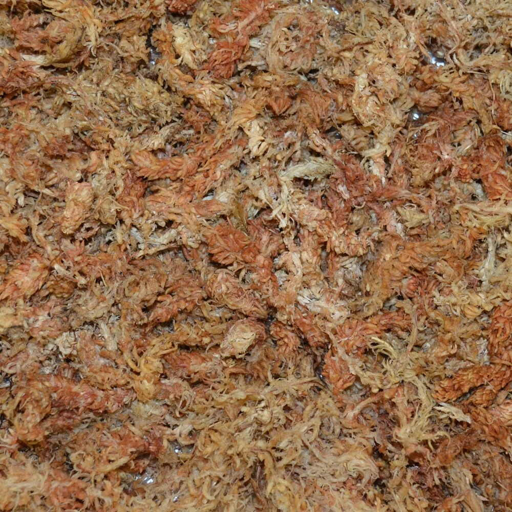 Thing Soil & Soil Amendments Sphagnum Peat Moss Organic Peat Moss Moisture Control 3 Thing Soil & Soil Amendments Sphagnum Peat Moss Organic Peat Moss Moisture Control - Image 3