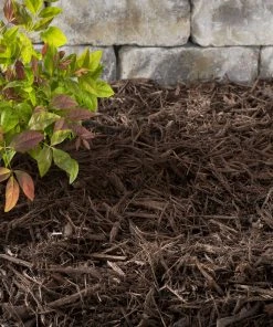 Thing Premium 2-cu ft Dark Brown Hardwood Mulch -SoilCraft Shop 05316692 scaled