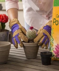 Miracle-Gro Soil & Soil Amendments 8-Quart Potting Soil Mix -SoilCraft Shop 05444618