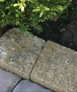 Thing Insignia 5-in L x 8-in W x 3-in H Concrete Straight Edging Stone -SoilCraft Shop 07921840