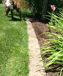 Thing Insignia 5-in L x 8-in W x 3-in H Concrete Straight Edging Stone -SoilCraft Shop 07921841