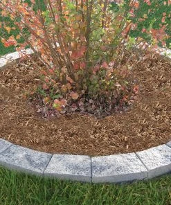 Thing Insignia 5-in L x 8-in W x 3-in H Concrete Straight Edging Stone -SoilCraft Shop 07921844