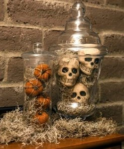 Thing Soil & Soil Amendments 250-cu in Spanish Moss 6 Thing Soil & Soil Amendments 250-cu in Spanish Moss -SoilCraft Shop 07971518