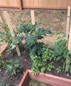 Thing Landscape Fabric & Stakes 6-Pack 60-in Wood Landscape Stakes -SoilCraft Shop 08337292