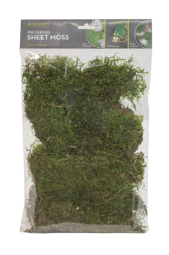 Thing Soil & Soil Amendments 90 Cubic Inch(Es) Sheet Moss 1 Thing Soil & Soil Amendments 90 Cubic Inch(Es) Sheet Moss