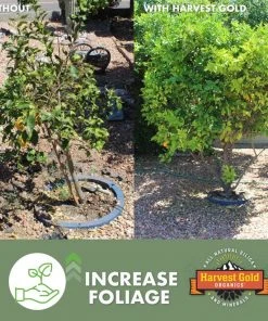 Harvest Gold Organics Soil & Soil Amendments Premium Soil Conditioner Organic Provides Organic Nutrients -SoilCraft Shop 12097051