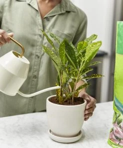 Miracle-Gro Soil & Soil Amendments Moisture Control Peat Moss Moisture Control -SoilCraft Shop 12190882