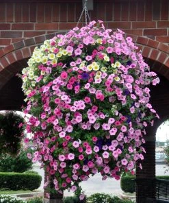 Soil Moist Soil & Soil Amendments Synthetic Polymer Moisture Control -SoilCraft Shop 15604160