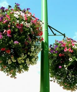 Soil Moist Soil & Soil Amendments Synthetic Polymer Moisture Control -SoilCraft Shop 15604161