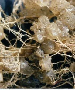 Soil Moist Soil & Soil Amendments Synthetic Polymer Moisture Control -SoilCraft Shop 15604162