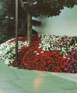 Soil Moist Soil & Soil Amendments Synthetic Polymer Moisture Control -SoilCraft Shop 15604164