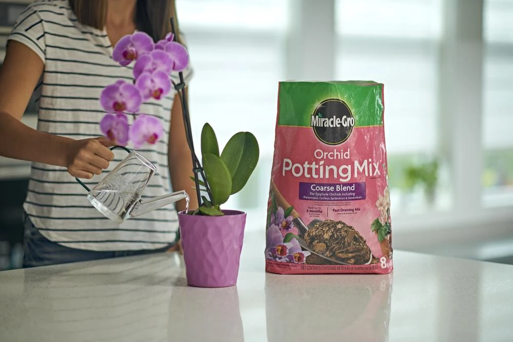 Miracle-Gro Soil & Soil Amendments Orchid 8-Quart Potting Soil Mix 8 Miracle-Gro Soil & Soil Amendments Orchid 8-Quart Potting Soil Mix - Image 8