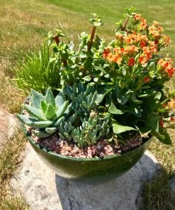 AKASHA Landscaping Rock 4-lb Indoor Decorative Rock -SoilCraft Shop 16989167