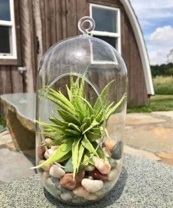 AKASHA Landscaping Rock 5-lb Indoor Decorative Rock -SoilCraft Shop 17076905