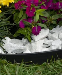 EasyFlex Heavy Duty No-Dig Landscape Edging Kit Black Landscape edging roll -SoilCraft Shop 40596035