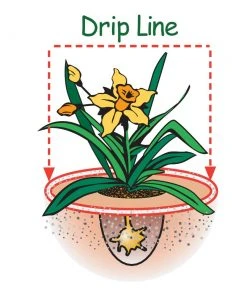 Espoma Soil & Soil Amendments Garden Organic Lime Ph Balancer -SoilCraft Shop 42677962