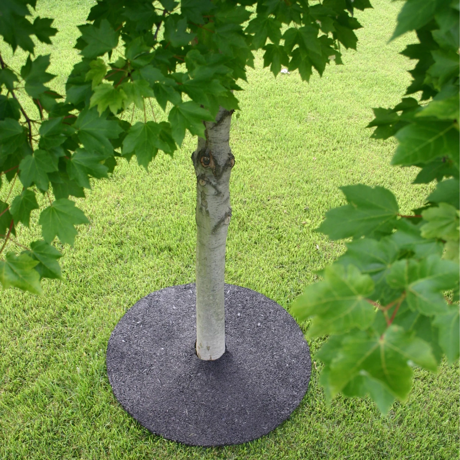 Rubberific Mulch Brown Recycled Rubber Rubber 24-in Tree Ring 8 Rubberific Mulch Brown Recycled Rubber Rubber 24-in Tree Ring - Image 8