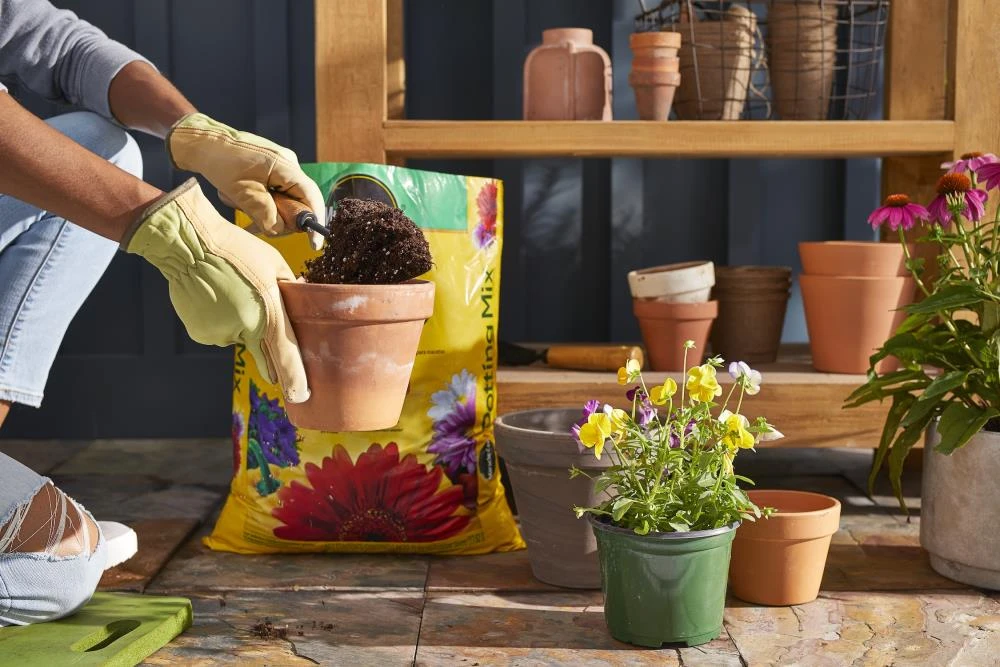 Miracle-Gro Soil & Soil Amendments Potting Mix Bundle 16-Quart Potting Soil Mix 3 Miracle-Gro Soil & Soil Amendments Potting Mix Bundle 16-Quart Potting Soil Mix - Image 3