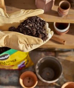 Miracle-Gro Soil & Soil Amendments Potting Mix Bundle 16-Quart Potting Soil Mix 8 Miracle-Gro Soil & Soil Amendments Potting Mix Bundle 16-Quart Potting Soil Mix -SoilCraft Shop 44004091