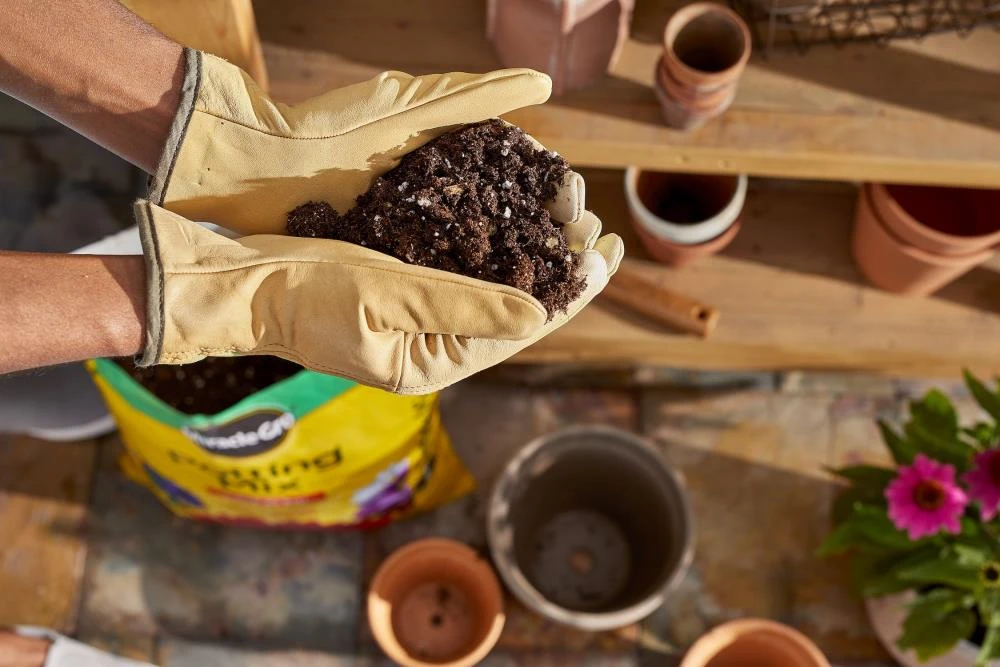 Miracle-Gro Soil & Soil Amendments Potting Mix Bundle 16-Quart Potting Soil Mix 4 Miracle-Gro Soil & Soil Amendments Potting Mix Bundle 16-Quart Potting Soil Mix - Image 4