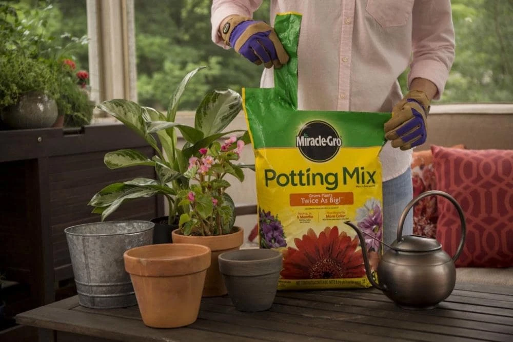 Miracle-Gro Soil & Soil Amendments Potting Mix Bundle 8-Quart Potting Soil Mix 5 Miracle-Gro Soil & Soil Amendments Potting Mix Bundle 8-Quart Potting Soil Mix - Image 5