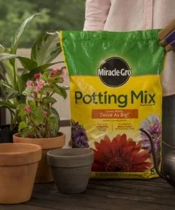 Miracle-Gro Soil & Soil Amendments Potting Mix Bundle 8-Quart Potting Soil Mix 17 Miracle-Gro Soil & Soil Amendments Potting Mix Bundle 8-Quart Potting Soil Mix -SoilCraft Shop 44004204