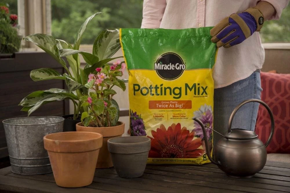 Miracle-Gro Soil & Soil Amendments Potting Mix Bundle 8-Quart Potting Soil Mix 9 Miracle-Gro Soil & Soil Amendments Potting Mix Bundle 8-Quart Potting Soil Mix - Image 9