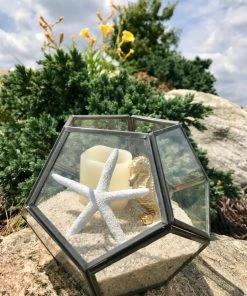 AKASHA Landscaping Rock 4 lb Beach Sand 5 AKASHA Landscaping Rock 4 lb Beach Sand -SoilCraft Shop 44227704