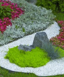 Beach Pebble Company Landscaping Rock Decorative stone chip 30-lb White Decorative Rock -SoilCraft Shop 44319150