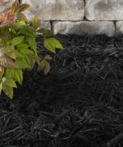 Thing Premium 2-cu ft Black Hardwood Mulch -SoilCraft Shop 44347261